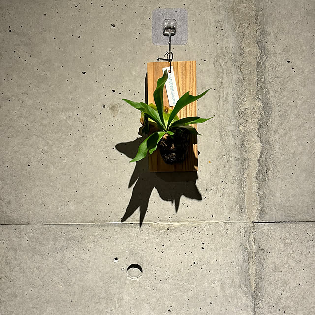 Youkiさんの部屋