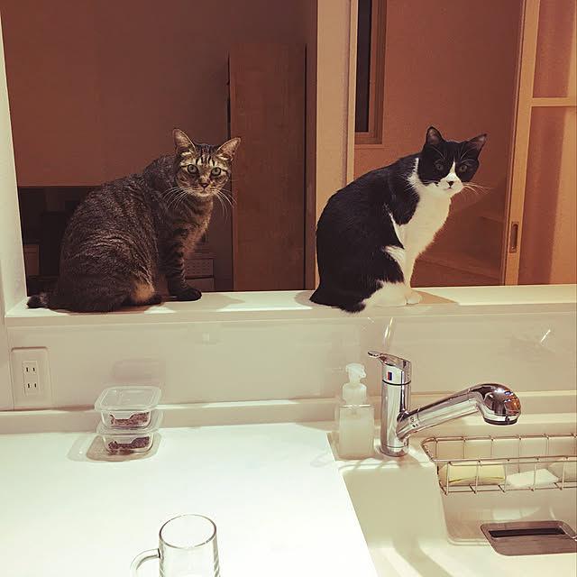 menowさんの実例写真
