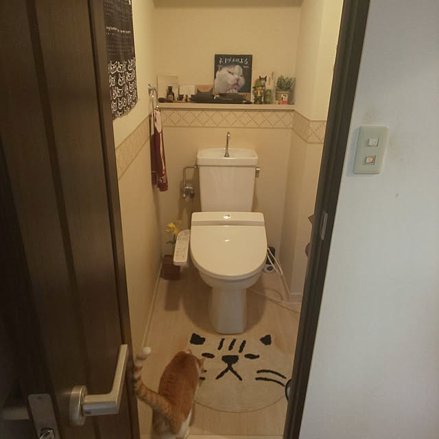 noguchiken0102さんの実例写真