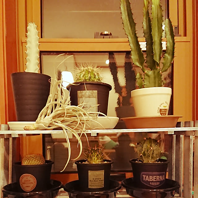 ot-gardenさんの実例写真