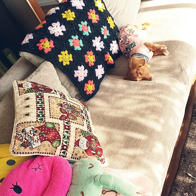 sumireさんの実例写真