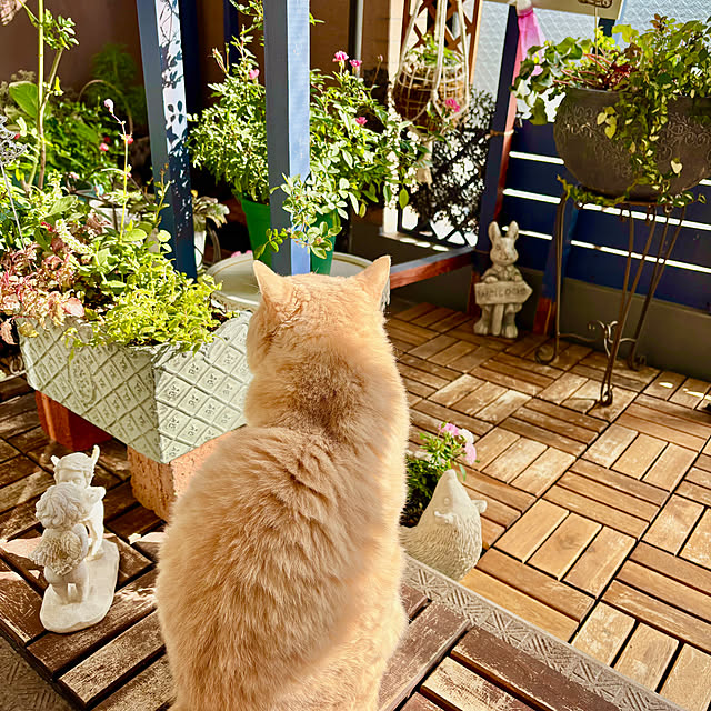 naokoさんの部屋