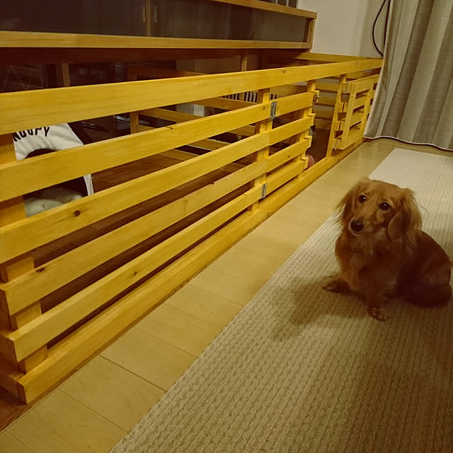 satokoKNKさんの実例写真