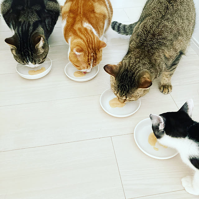 maさんの実例写真