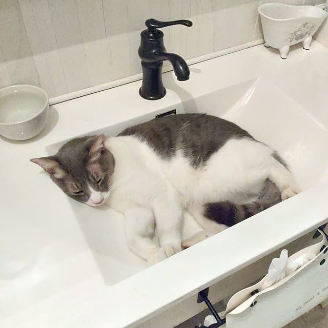 nicopenponさんの実例写真