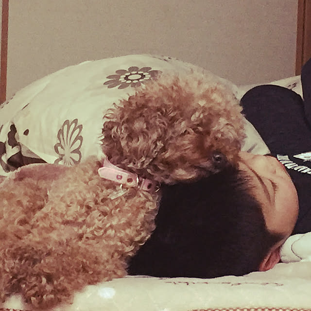 yyy888さんの実例写真