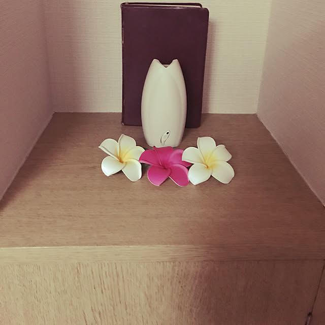 aAyumiichanさんの実例写真