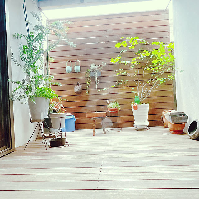 nahonさんの部屋