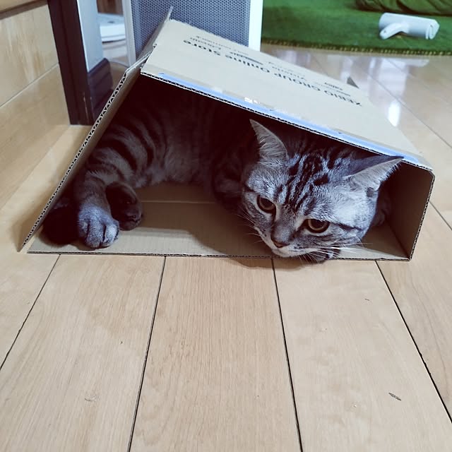 hiro3さんの部屋