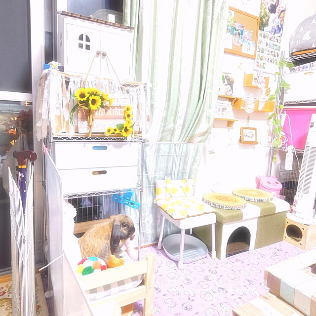 mariaさんの実例写真