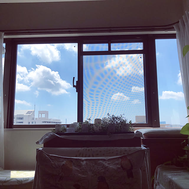 uchidaizuさんの実例写真