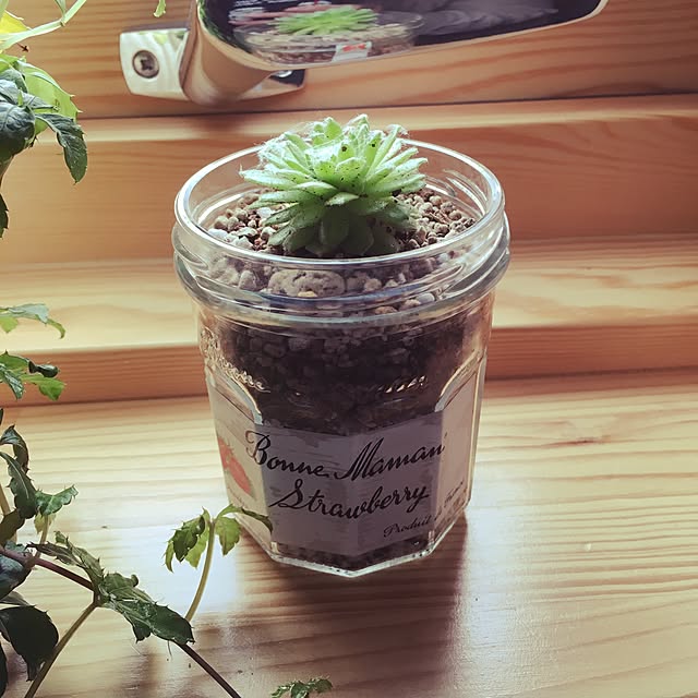 herbさんの実例写真