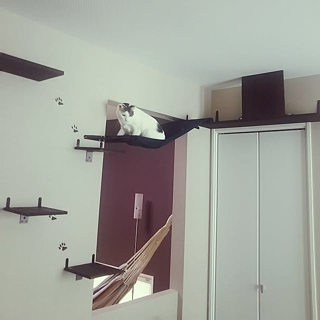 sunnyさんの実例写真