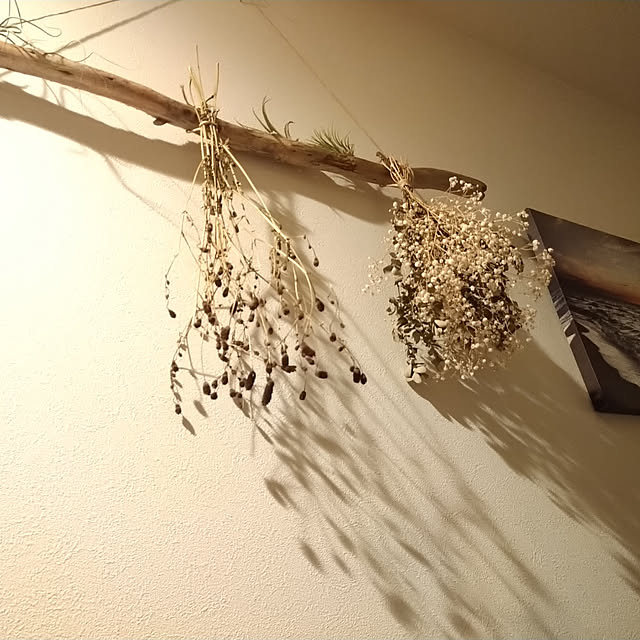 壁/天井/雑貨/子供がいる家/モノトーン/観葉植物...などのインテリア実例 - 2021-08-26 23:35:45