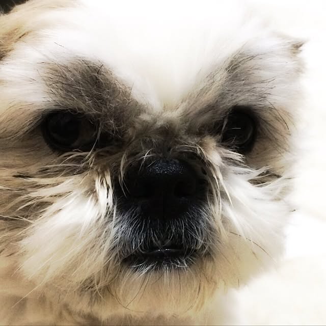 lenkaさんの実例写真
