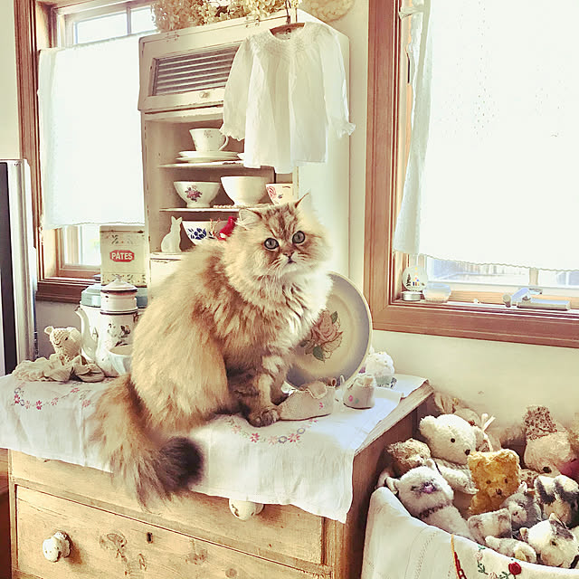 teddyさんの実例写真