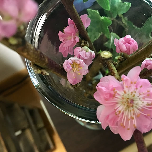 実例写真