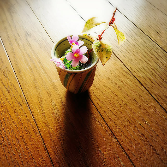 umiumiさんの実例写真