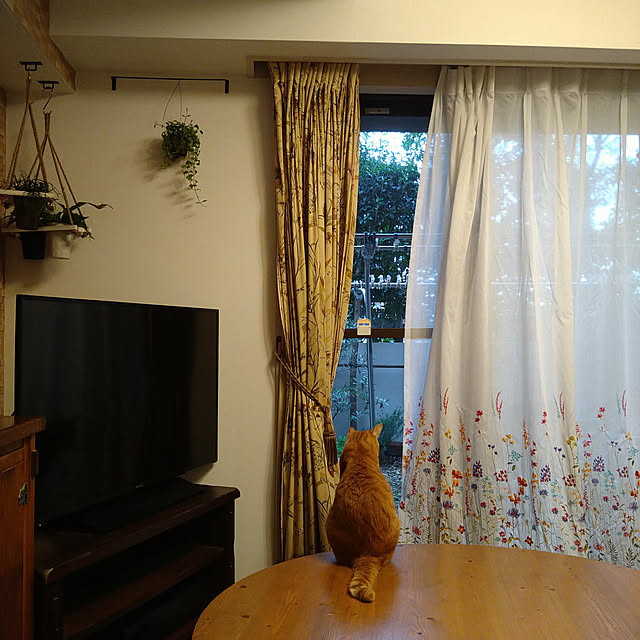 okyosan101さんの実例写真