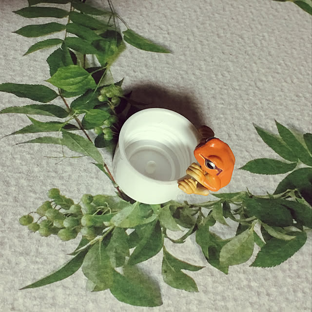 QooHooさんの実例写真