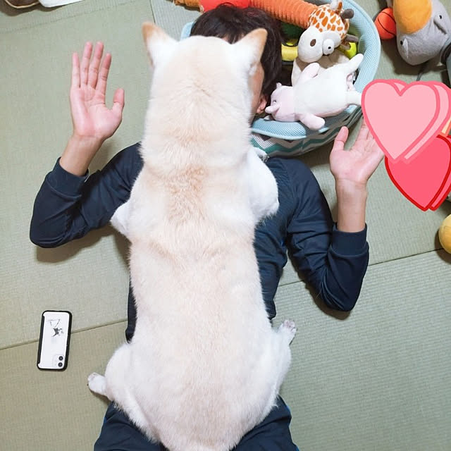 yukinkoさんの実例写真
