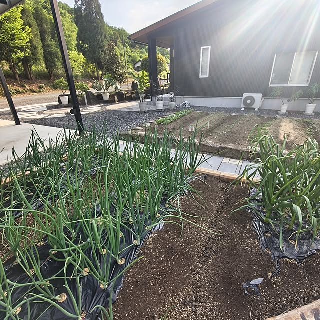 Rubiconさんの部屋