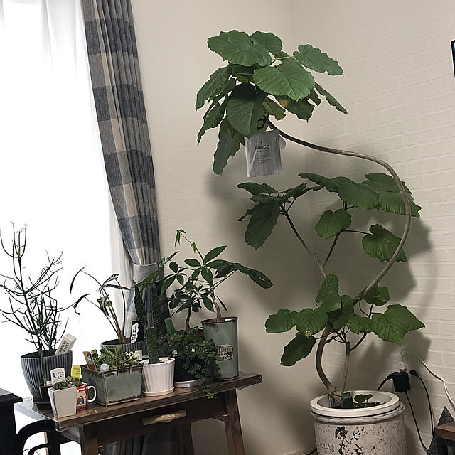 kunichanさんの実例写真