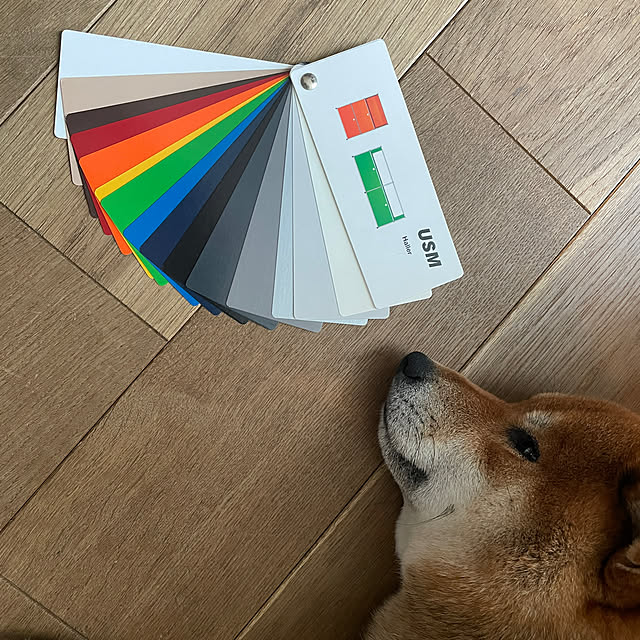 r_i_c_aさんの実例写真