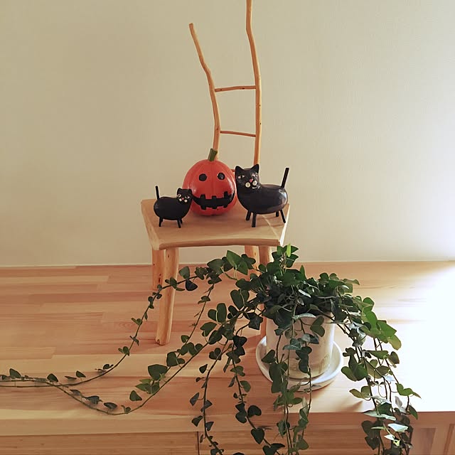 t.kさんの実例写真