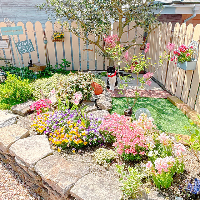 moolさんの実例写真