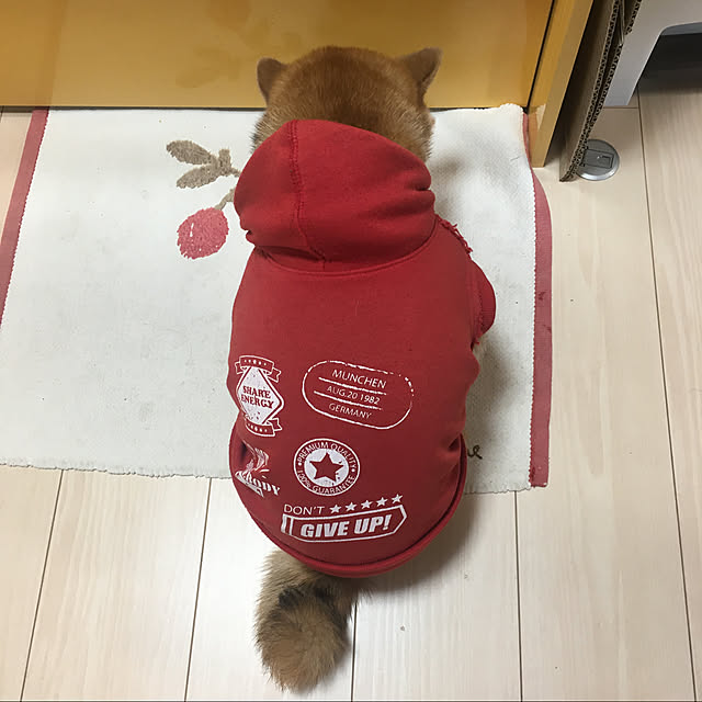 momokaさんの実例写真