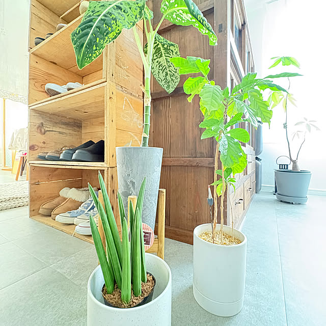 yokko_myroomさんの部屋