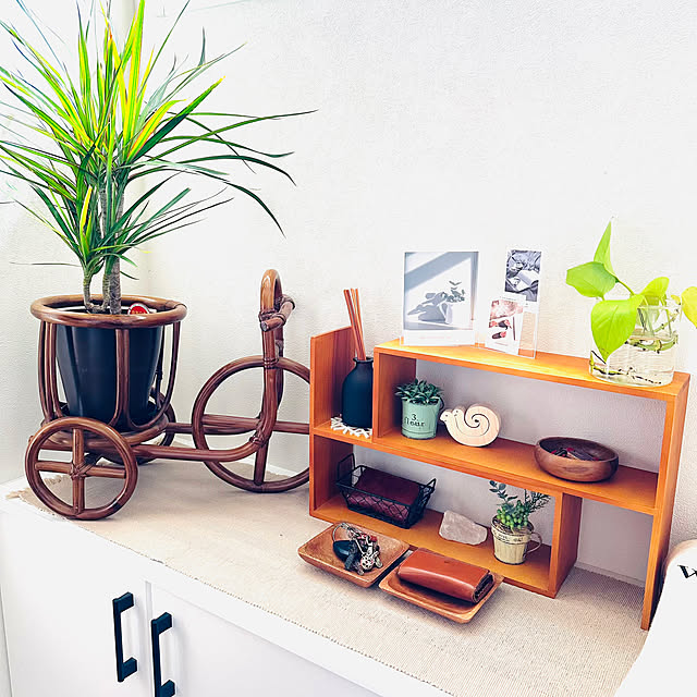 misoさんの部屋