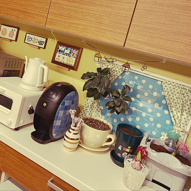 ikさんの実例写真