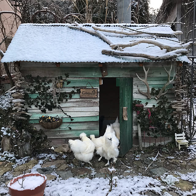 pepeさんの実例写真