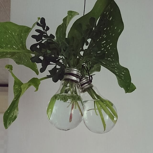jnita33さんの実例写真