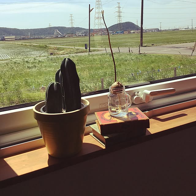 Yuさんの実例写真