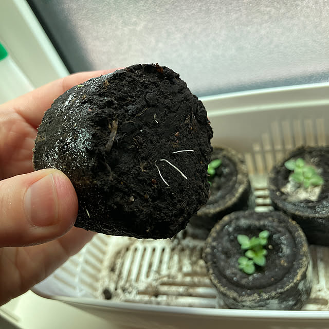 cocorunさんの実例写真