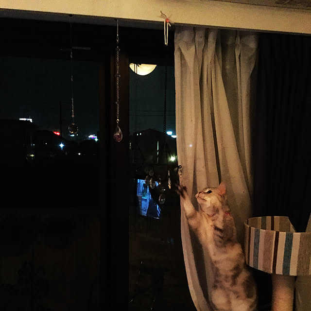 fantasticさんの実例写真