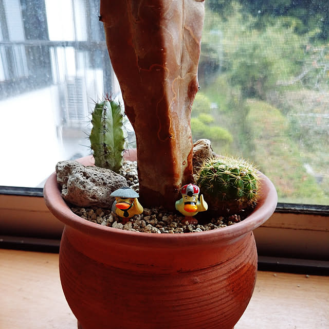 pineさんの実例写真