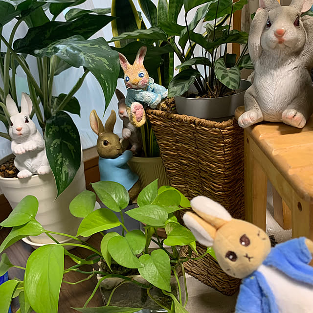 Aqettyさんの実例写真