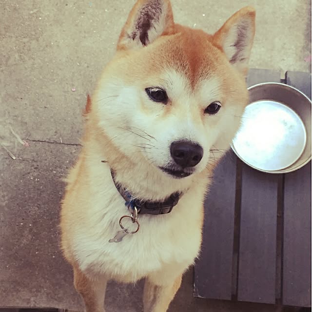 fruityanさんの実例写真