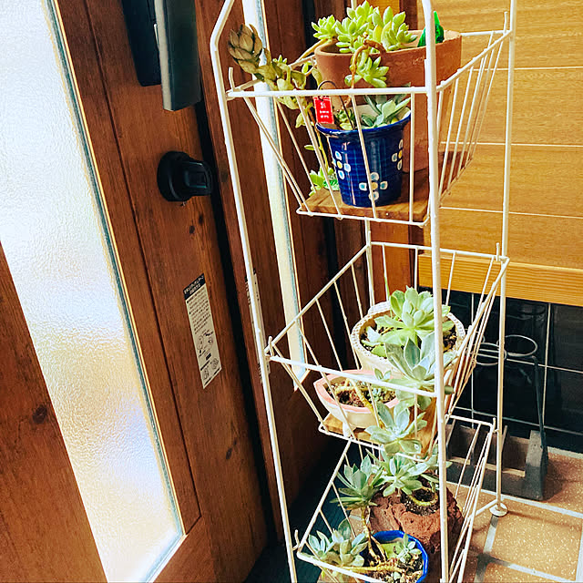 mimichankさんの実例写真