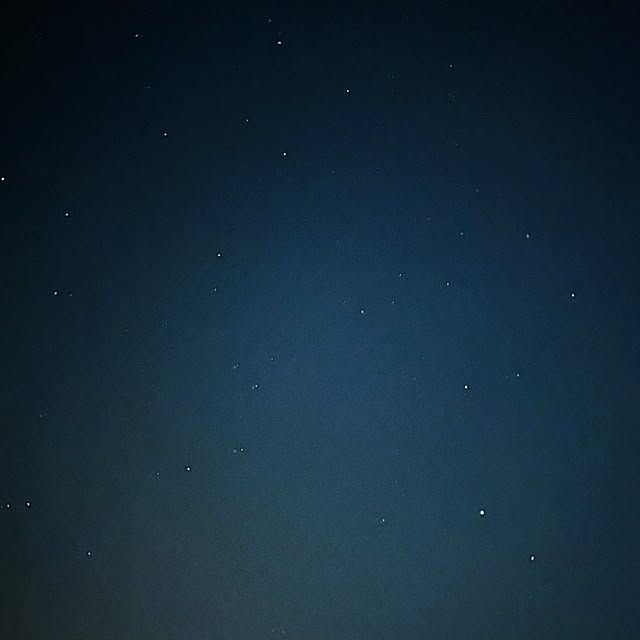 Blackcatさんの部屋