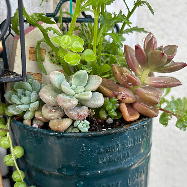 syutmmさんの部屋