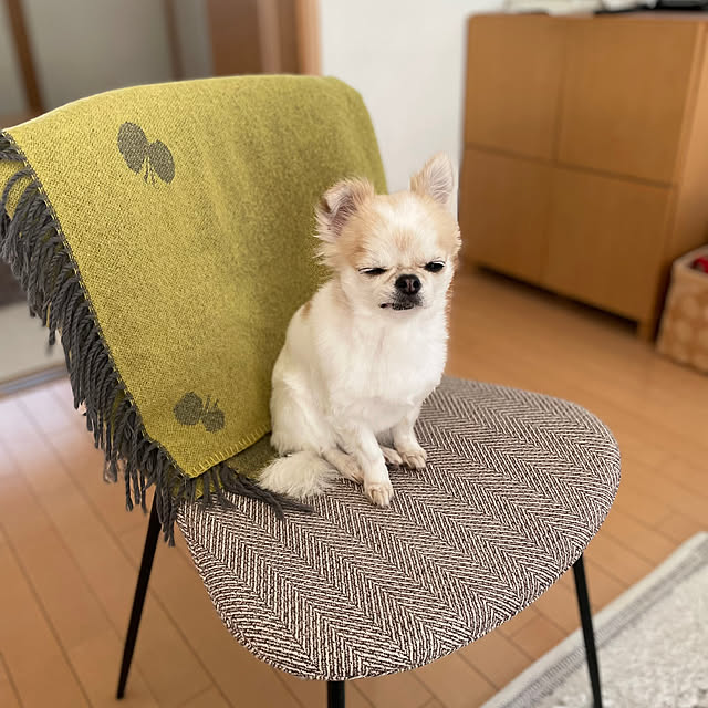 haritakaさんの実例写真
