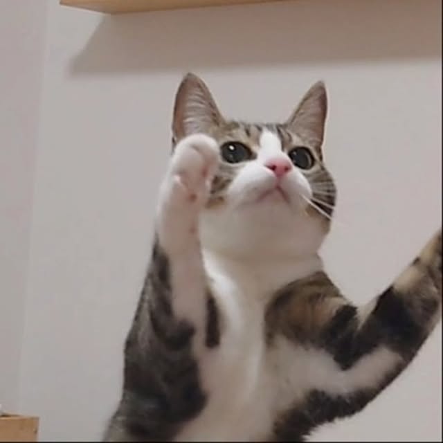 mochicoさんの実例写真