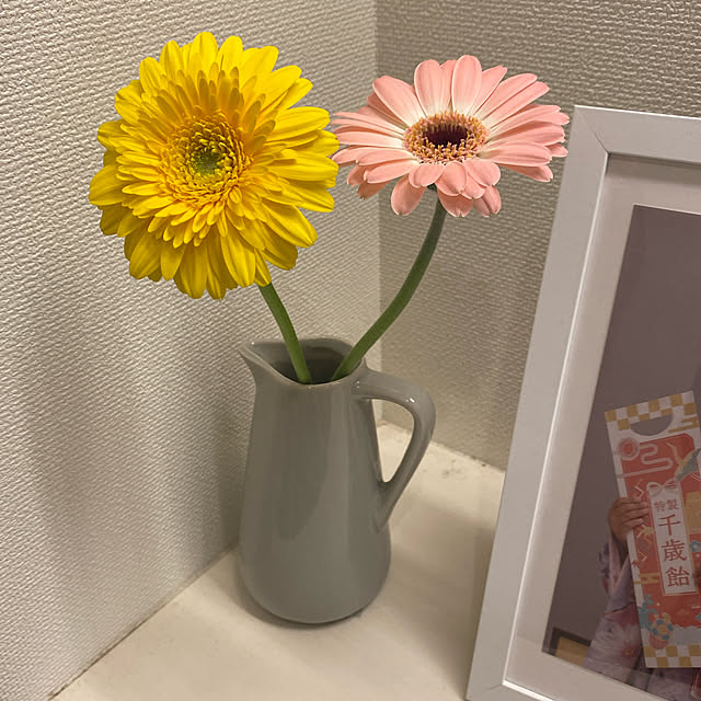 Aoiさんの実例写真