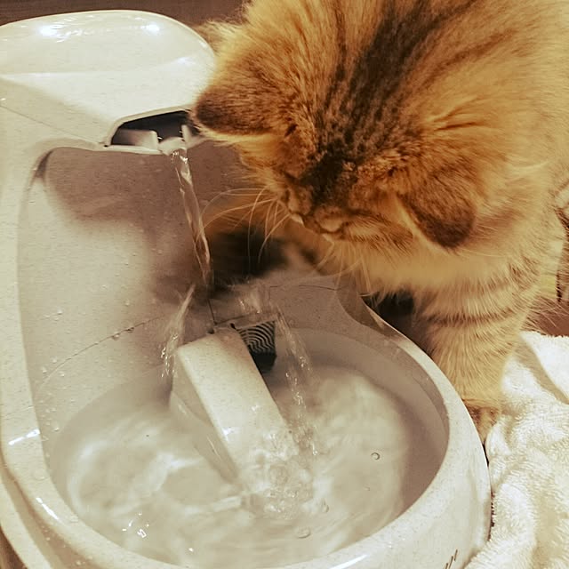 hanaさんの実例写真