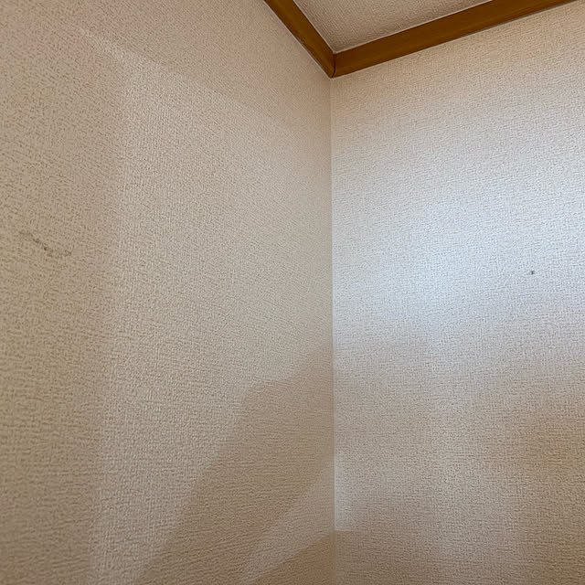 壁/天井のインテリア実例 - 2020-03-21 11:51:29
